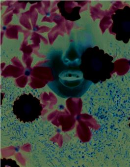 Gigi Lage: Exposure Garden - Tempus Volta