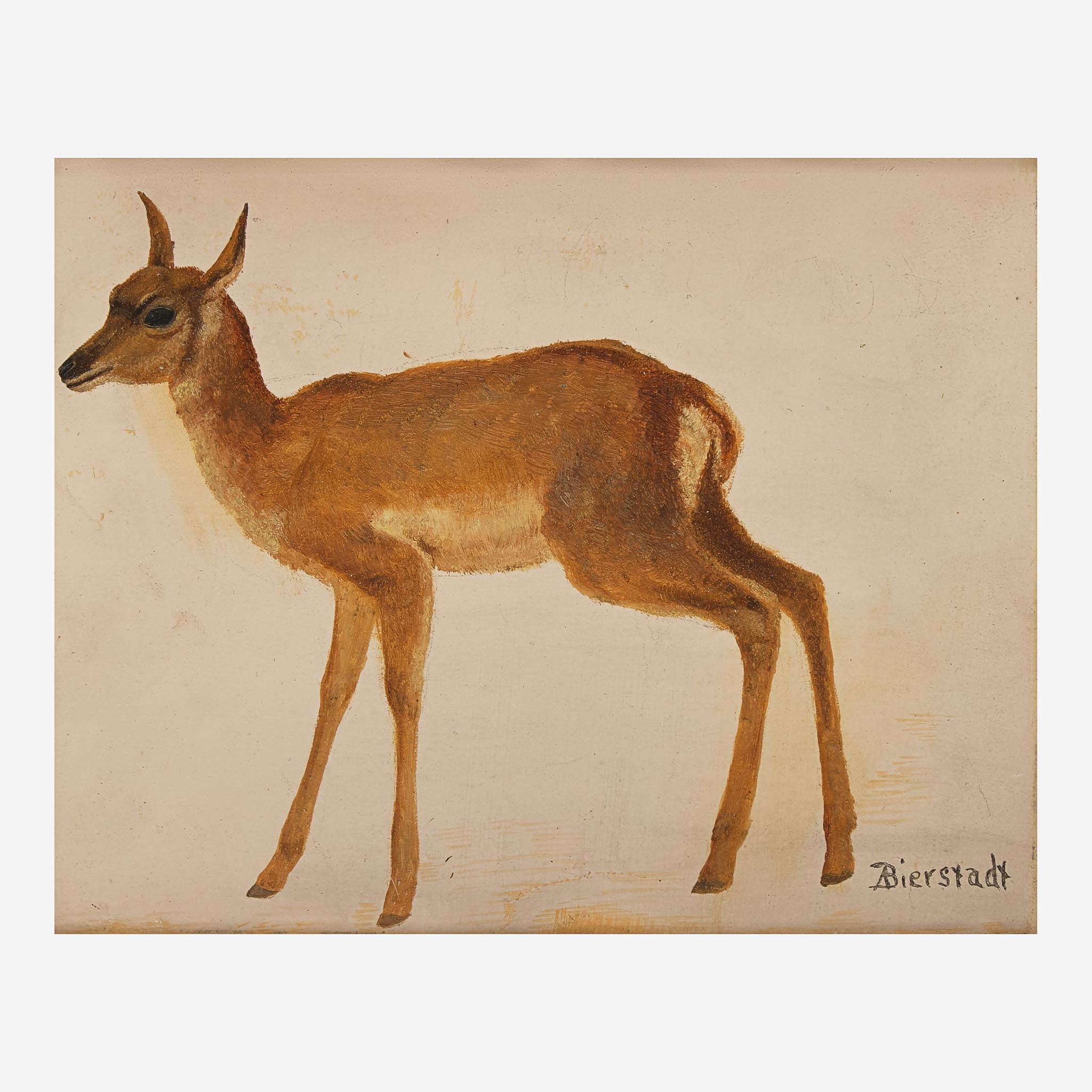 Deer at Sunset - Albert Bierstadt 