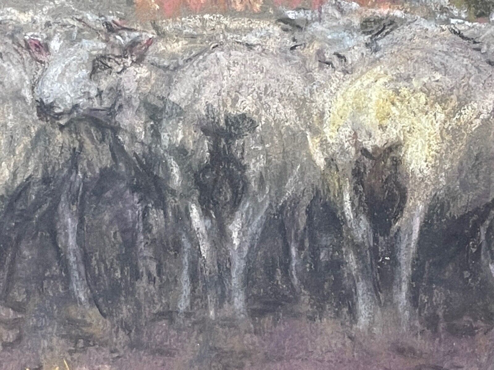 A flock of sheep stands in a sunlit wood pasture, tended by a figure leaning on a fence.