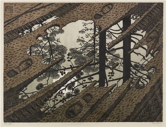 Puddle by Maurits Cornelis Escher, 1952