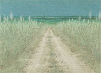 Endless journey - Misao Shimizu