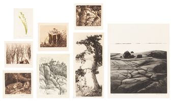 Untitled - Marjatta Nuoreva