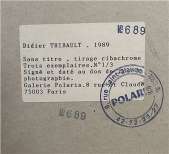 Sans titre - Didier Thibault