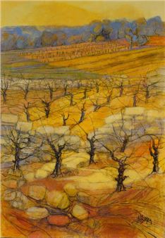 Les vignes - Marcel Soyez