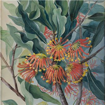 Ellis Rowan: Colonialism and Nature Painting - Cairns Art Gallery