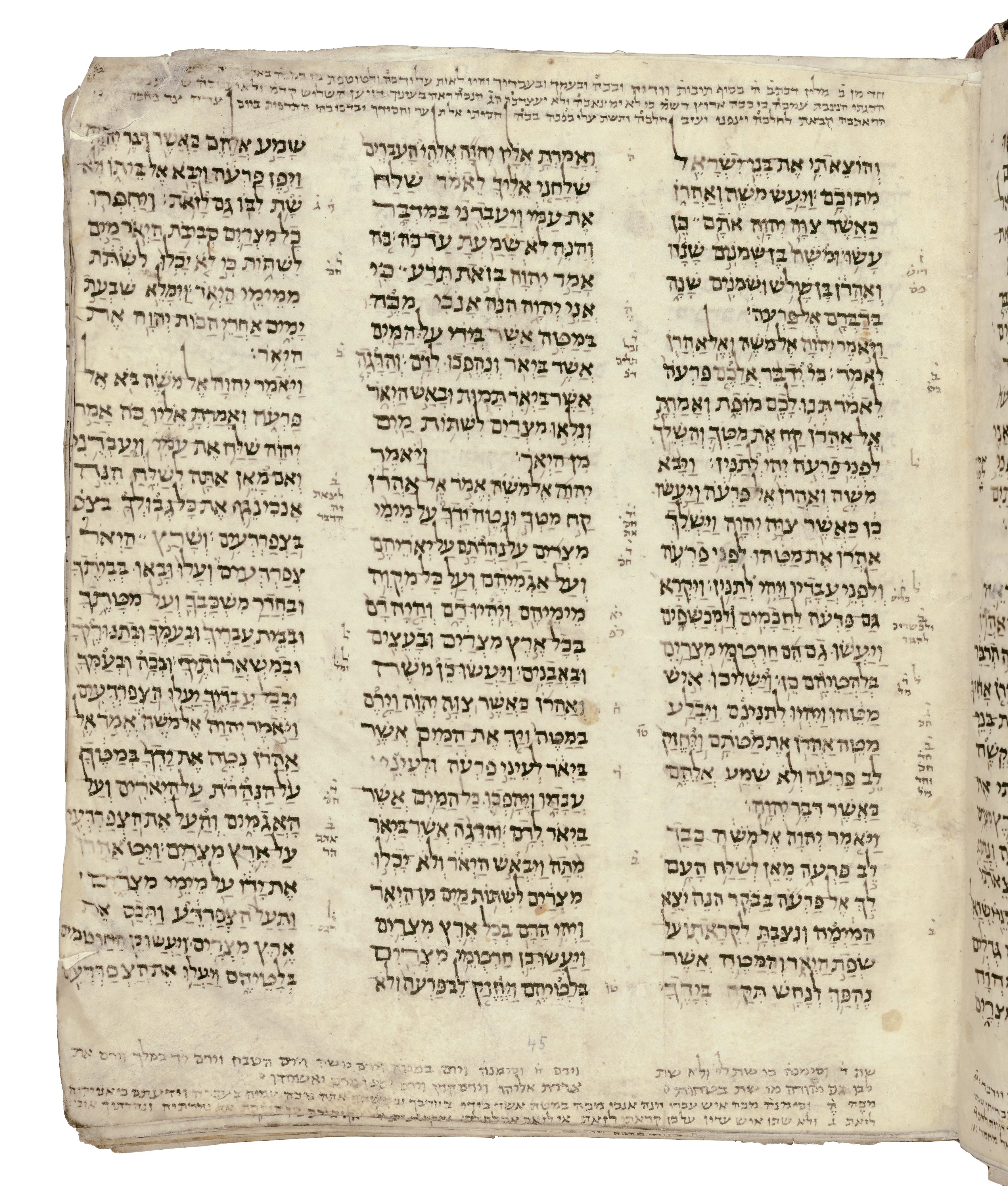 Unknown | Codex Sassoon | MutualArt