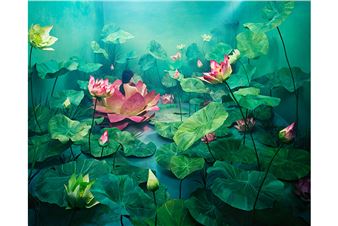 Phillips to Offer Masterworks by Richard Avedon, Peter Lindbergh, Helmut Newton, Among Others