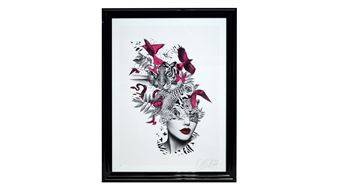 "Kingdom", - Olly Howe