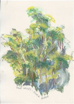 Tawe Valley Silver Birch - Steve Roe