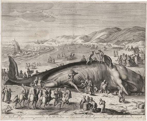 Jacob Matham | Der Gestrandete Walfisch zwischen Katwijk | MutualArt