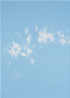 Stefan Sehler: Cloud - Cosar HMT