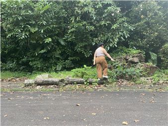 Following Instructions: Roving Singapore in the Name of Art