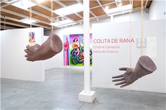 Cristina Camacho & Ivana de Vivanco: Colita de Rana - Instituto de Visión