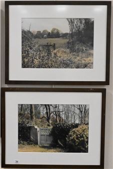 Pasture - Marilyn Lieberman