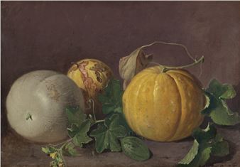 Melonen - Ferenc Ujhazy