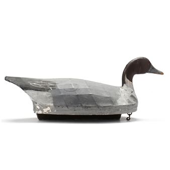 Pintail - Marvin Midgett