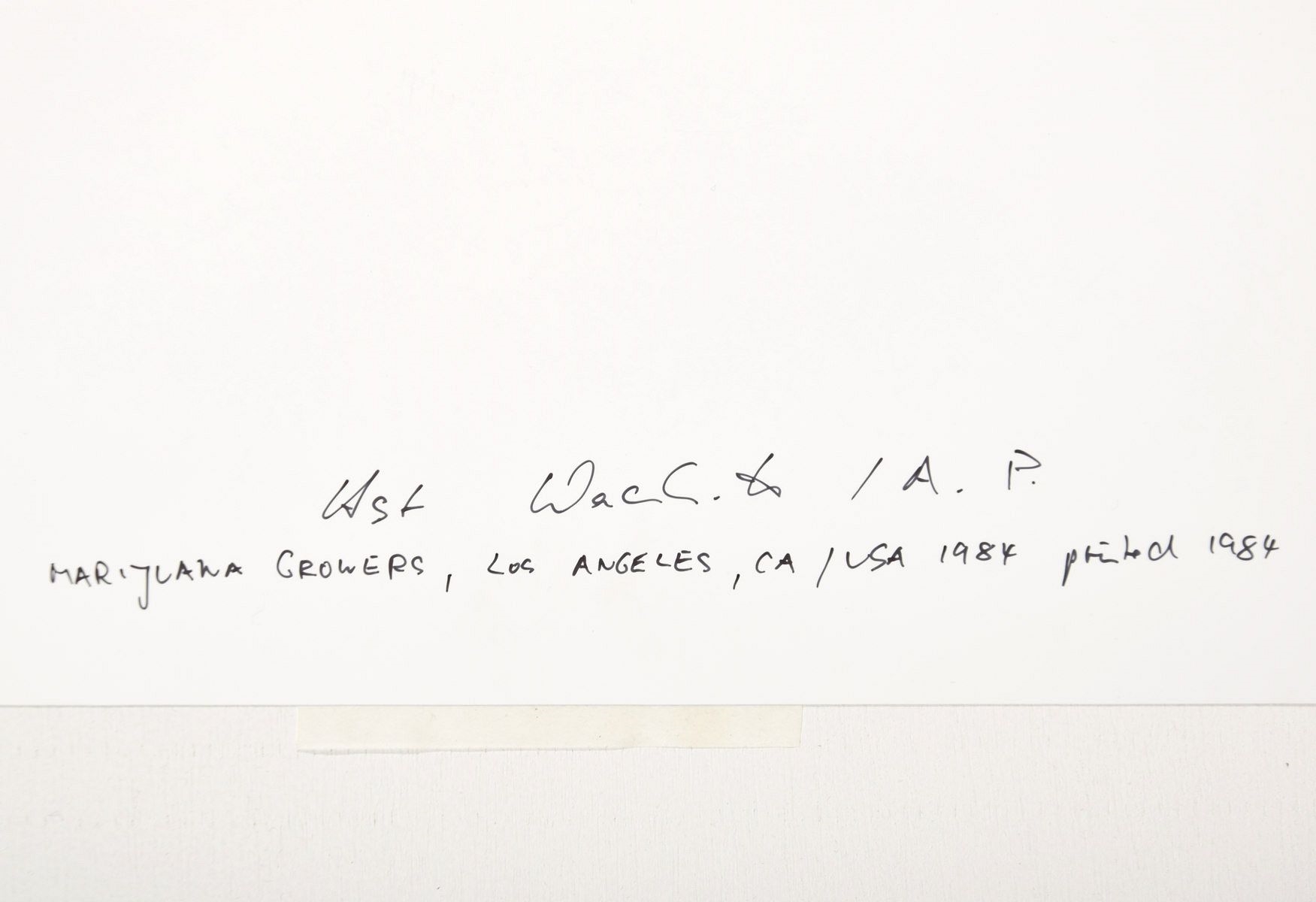 Artwork by Horst Wackerbarth, Marijuana Growers, Los Angeles, California, Made of Cibachrome print