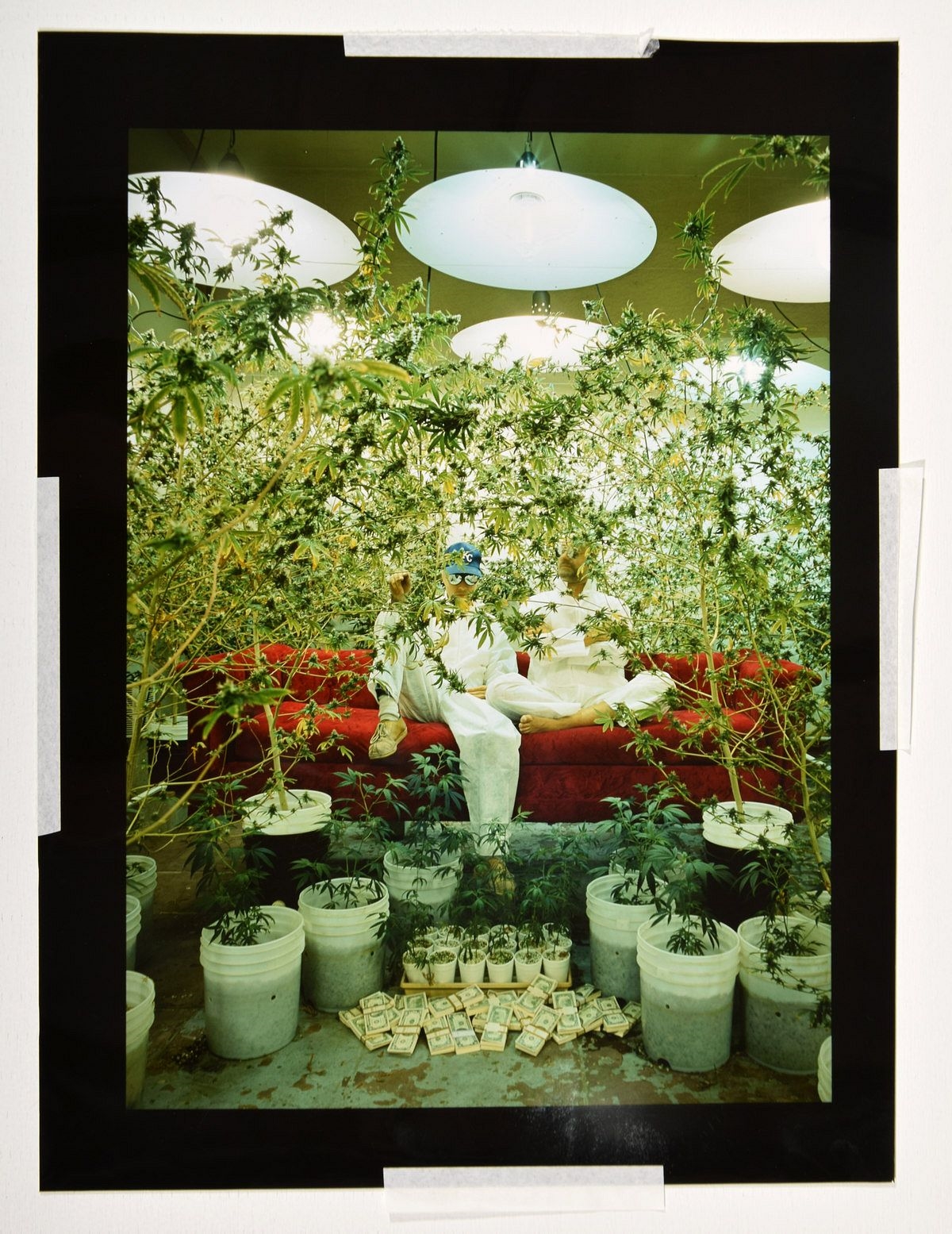 Artwork by Horst Wackerbarth, Marijuana Growers, Los Angeles, California, Made of Cibachrome print