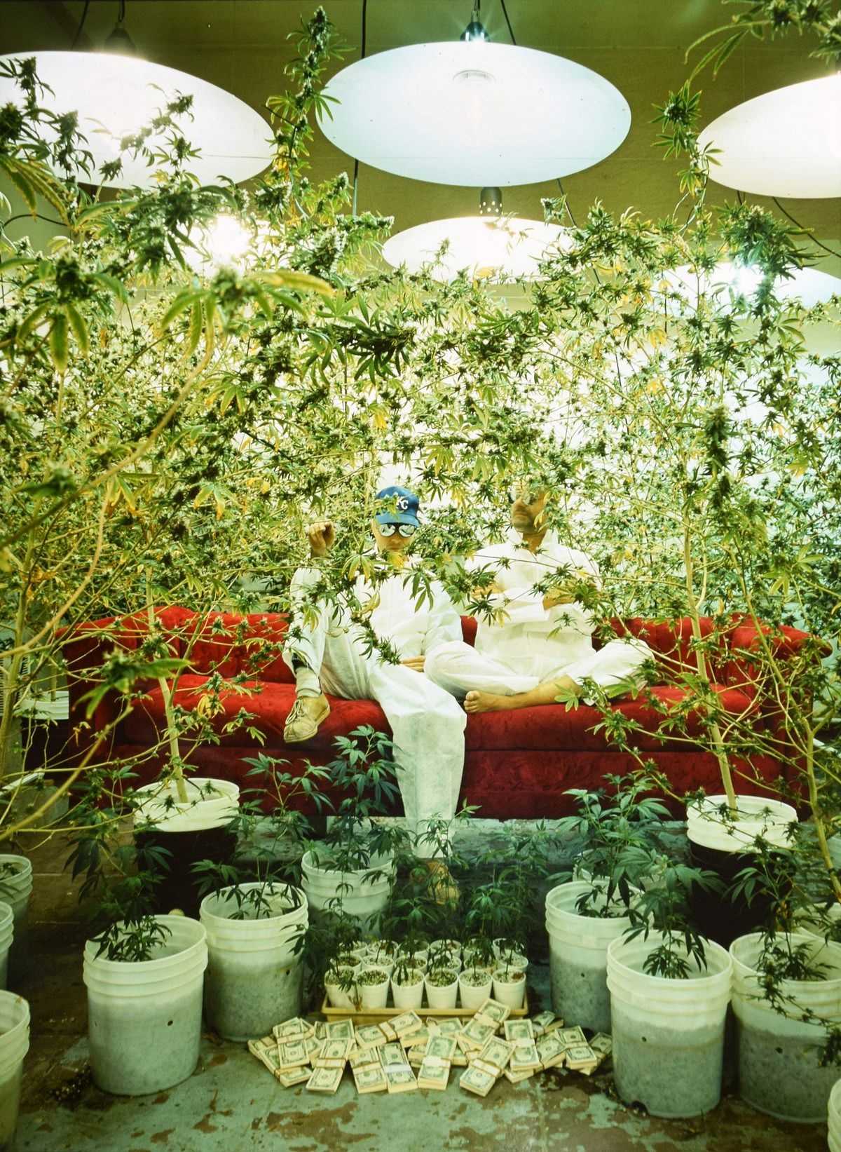 Artwork by Horst Wackerbarth, Marijuana Growers, Los Angeles, California, Made of Cibachrome print