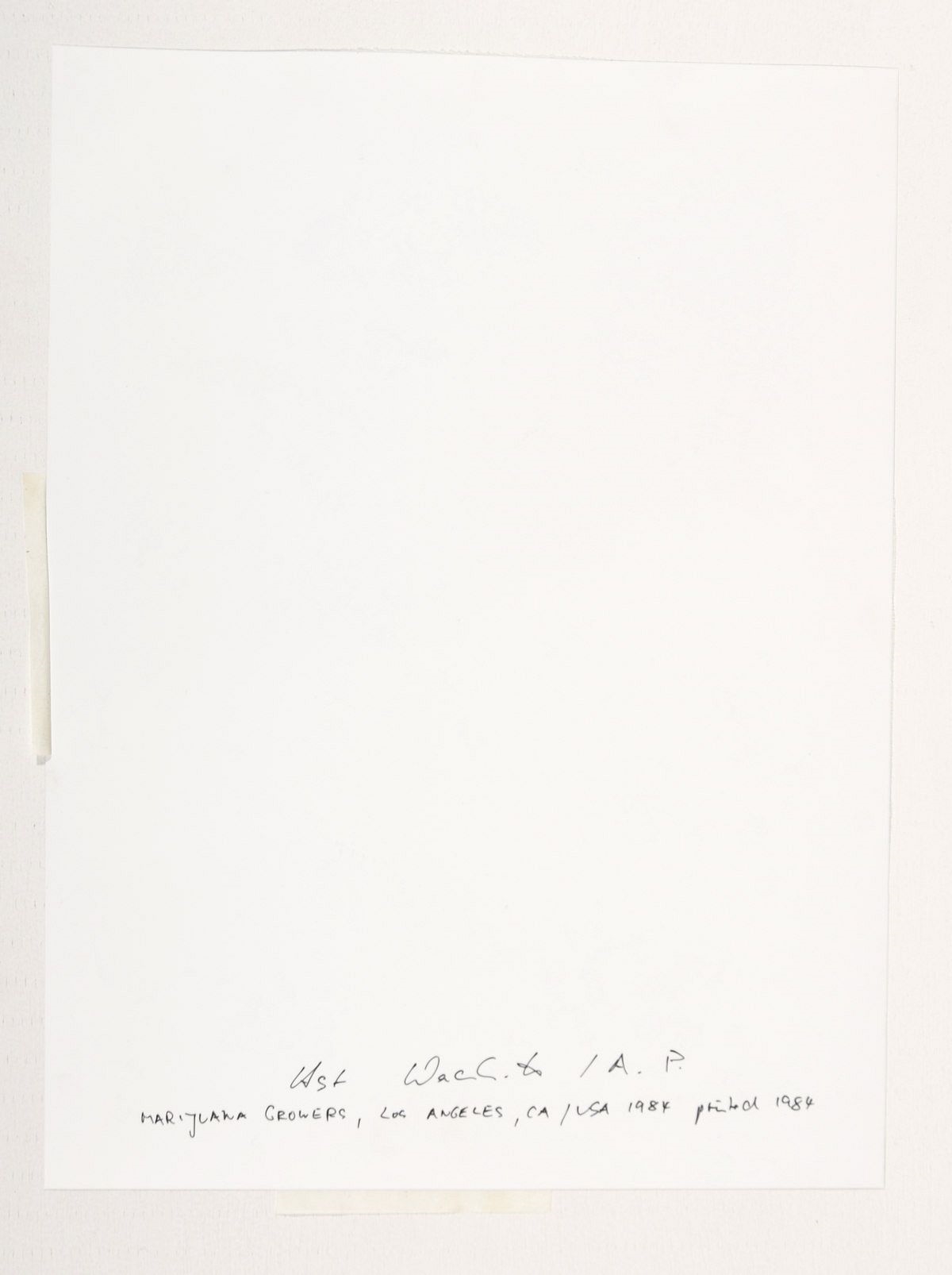 Artwork by Horst Wackerbarth, Marijuana Growers, Los Angeles, California, Made of Cibachrome print