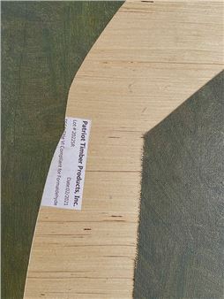 Alicia Cheatham: Felled, not Fallen - Monte Vista Projects