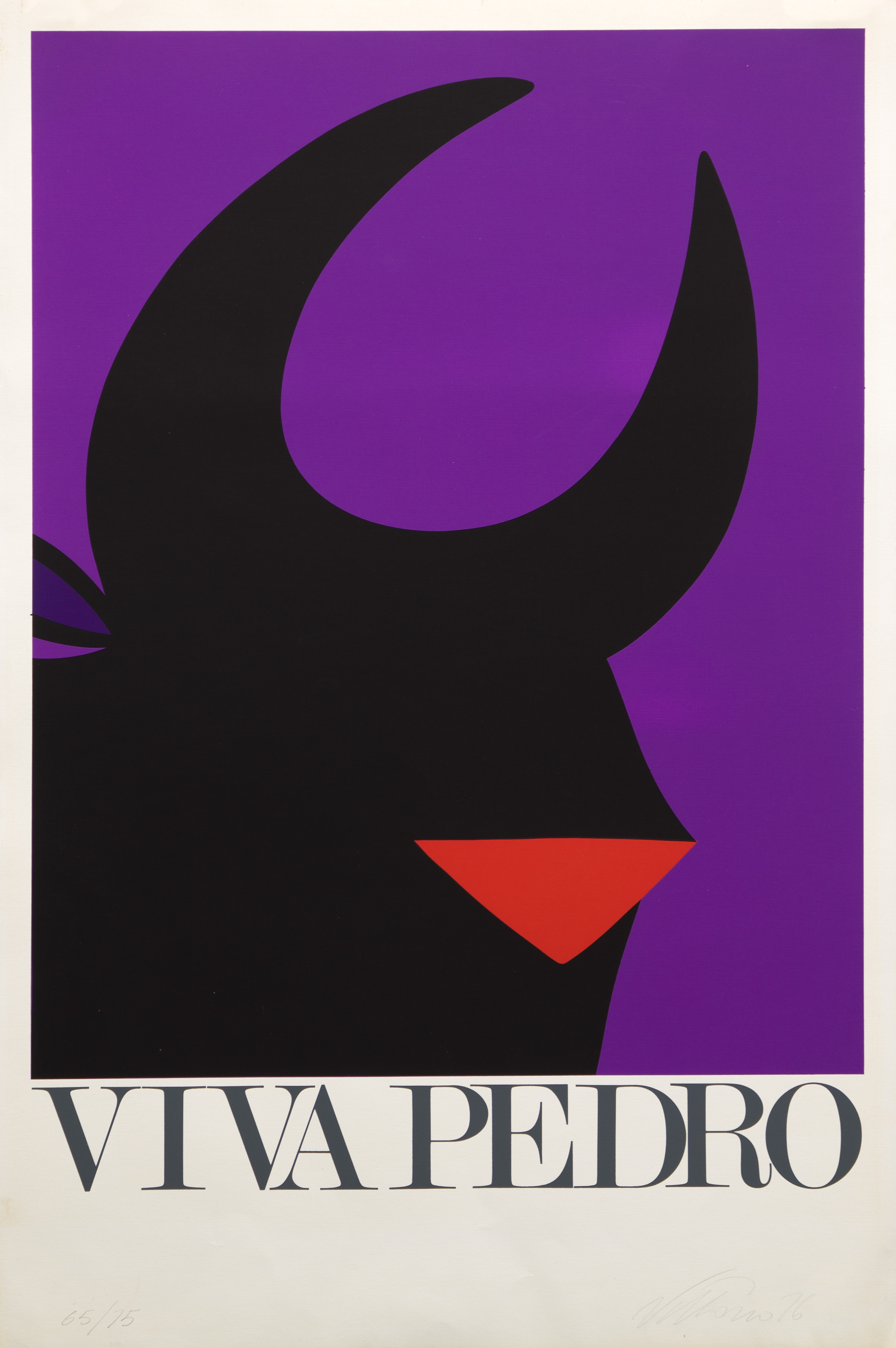 Viva Pedro by Vittorio Fiorucci, 1976