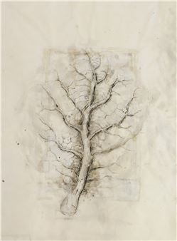 Tree Study - Rocío Maldonado
