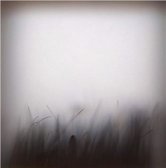 Charys Wilson: Spaces Between - Golden Thread Gallery