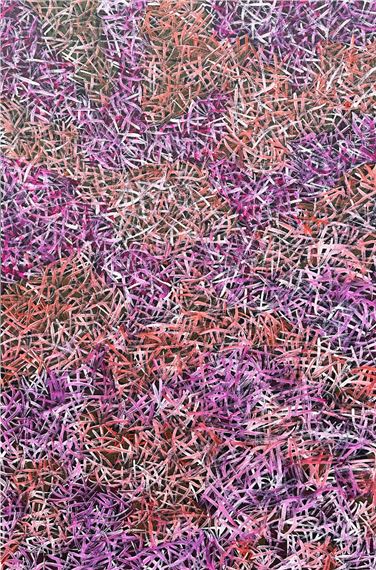 Bush Grass Dreaming 2023