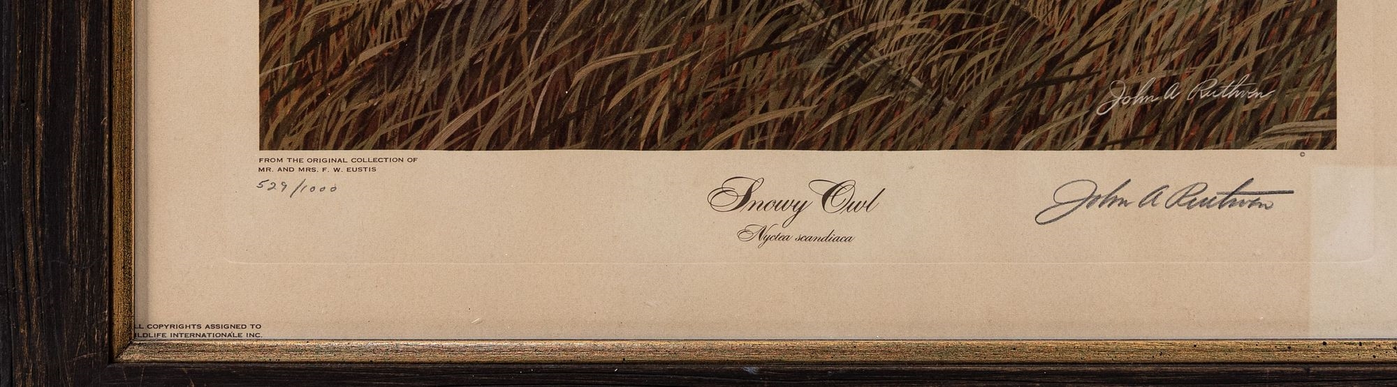 John Ruthven Snowy Owl MutualArt