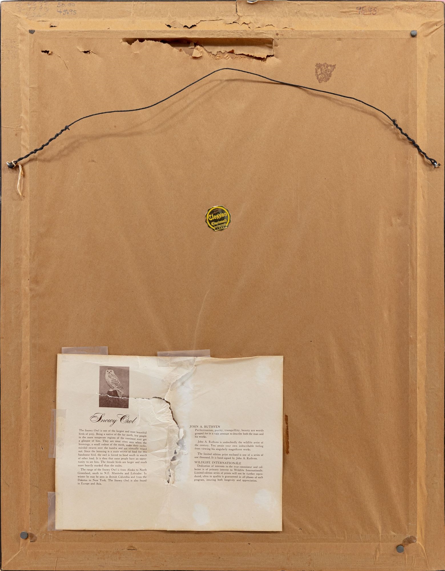 John Ruthven Snowy Owl MutualArt