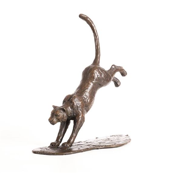 Snow Leopard by Mark Rode