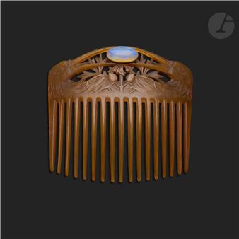 Two egrets fighting over a seed - Paul Briançon