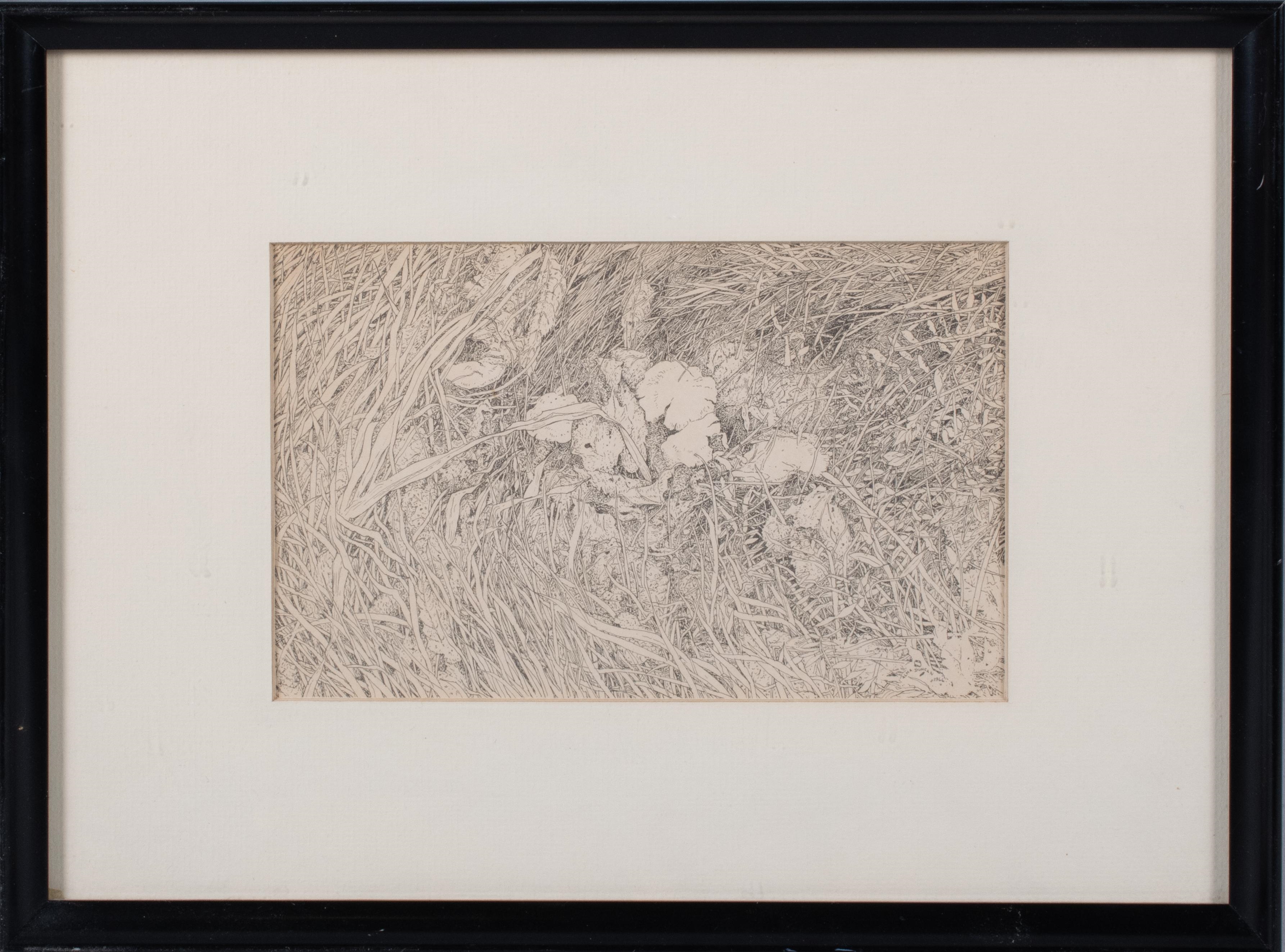A monochromatic etching of a cluster of white flowers nestled among tall, textured grasses.