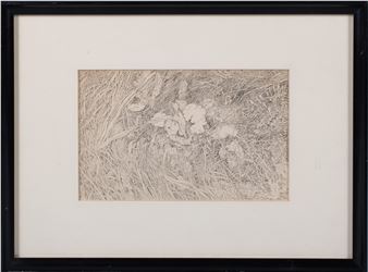 A monochromatic etching of a cluster of white flowers nestled among tall, textured grasses.