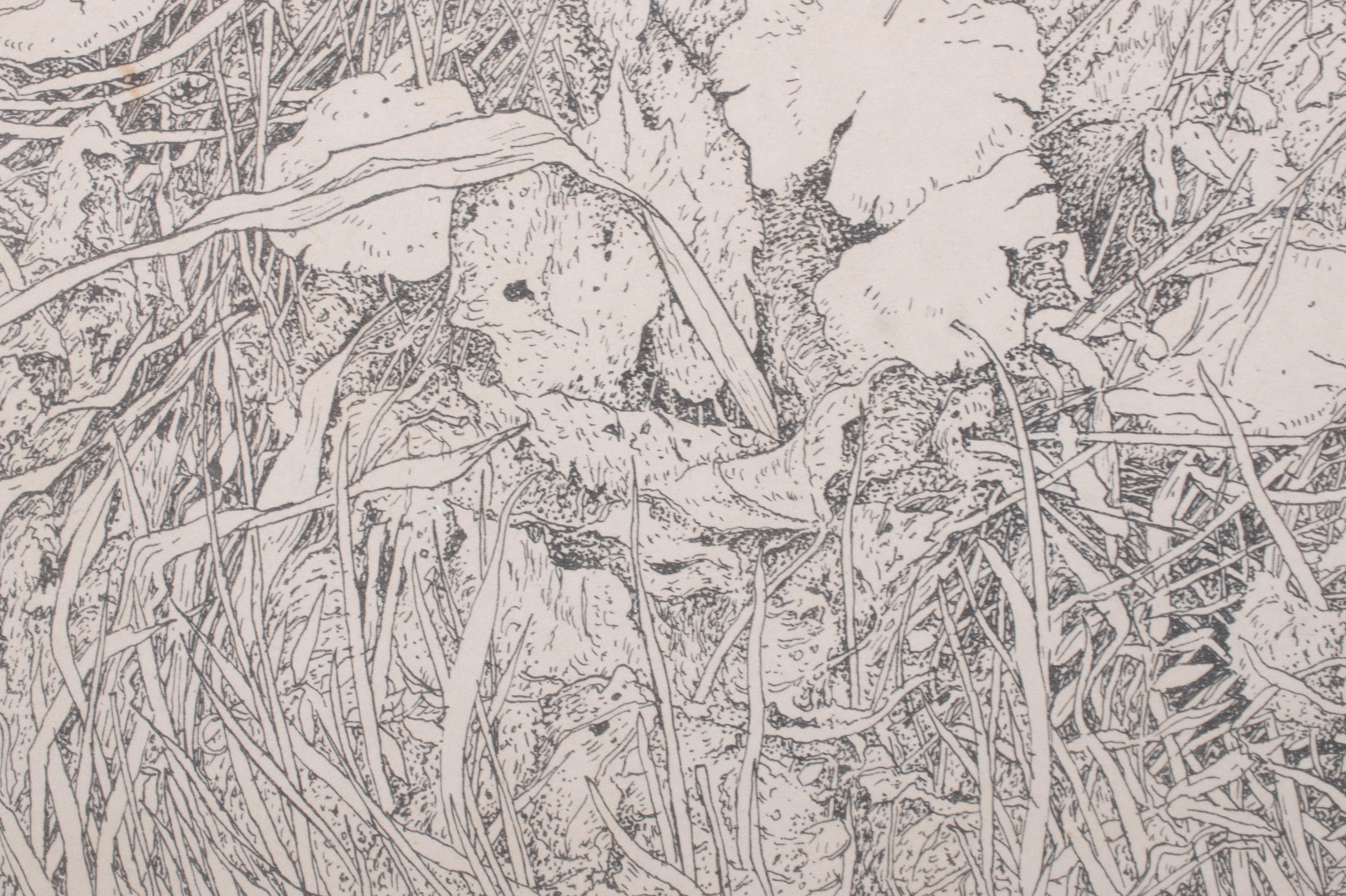 A monochromatic etching of a cluster of white flowers nestled among tall, textured grasses.