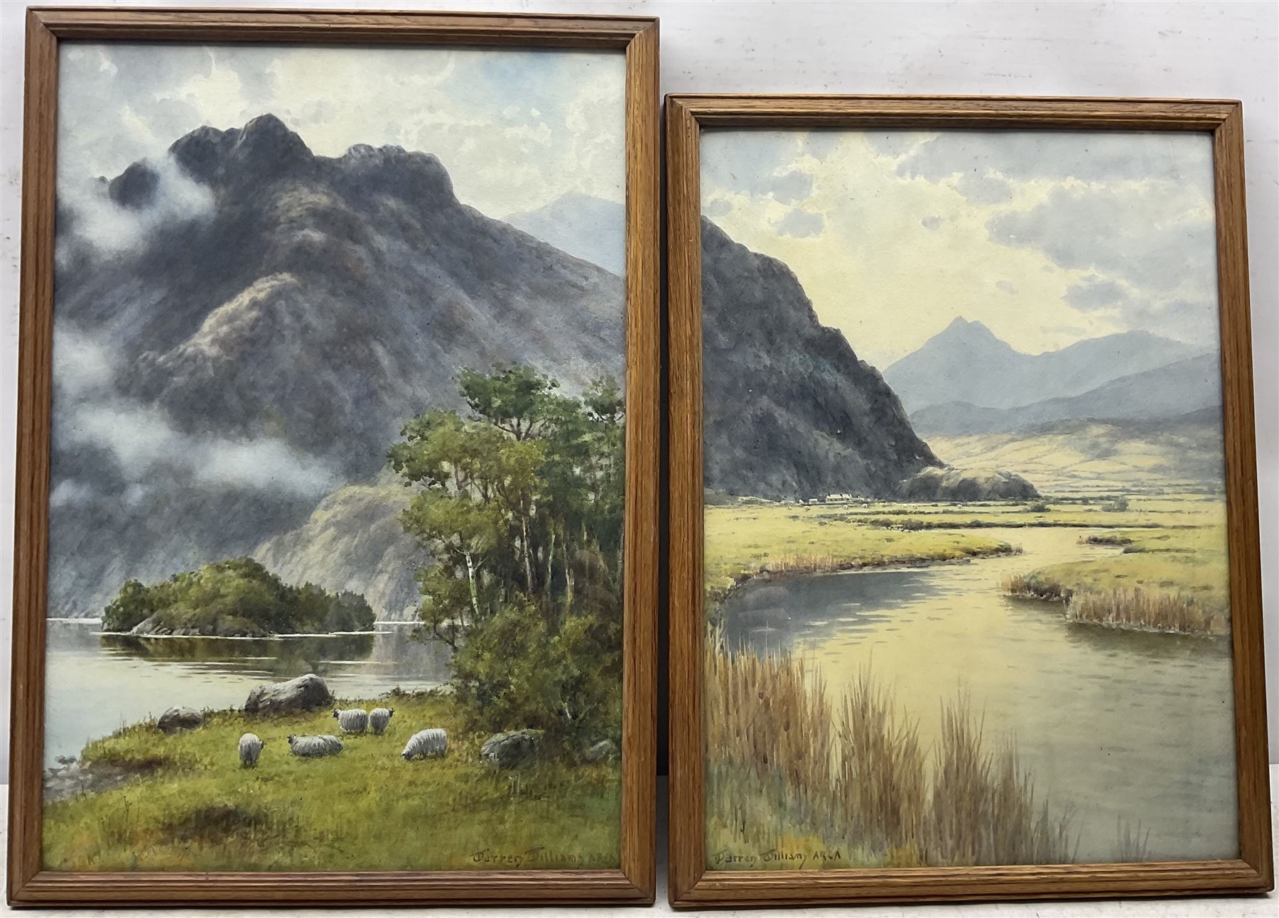 Warren Williams | Welsh River Landscapes | MutualArt