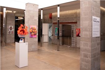 An In-Depth Look at Meta Prosper's "Love in Translation" Exhibition at HBX New York