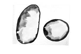 American architect, artist and educator Steven Holl presents 'Half Earth' linked to the protection of Nature
