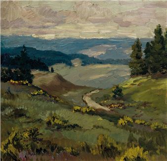 Blooming broom in the Eifel - Rudolf Inden