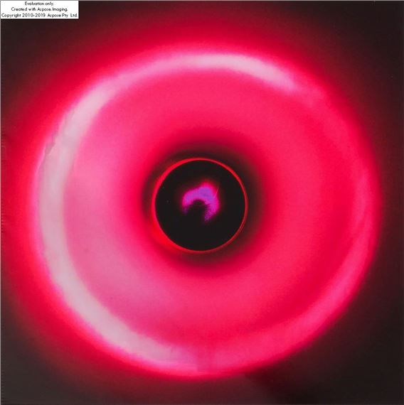 Lost Frequencies by Monika Szufladowicz, 2017