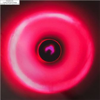 Lost Frequencies - Monika Szufladowicz