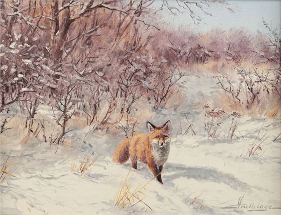 Fuchs im Schnee by Karl Hellmut Snethlage
