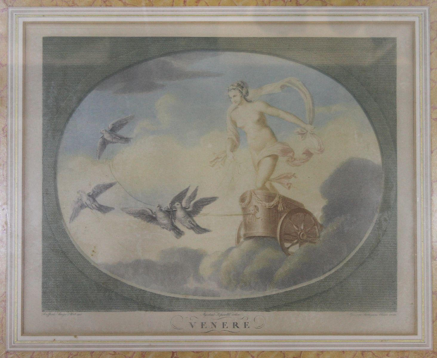 Franco Staccoli | Coloured Engravings of Raphael's Frescoes of Apollo ...