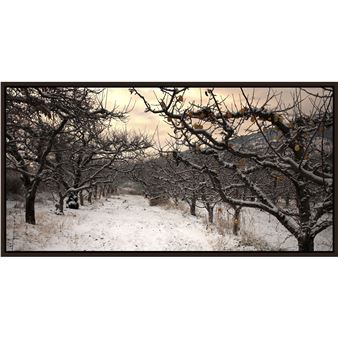 WINTER ORCHARD - Merle Somerville