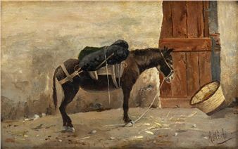 Donkey - Augusto Cecchi