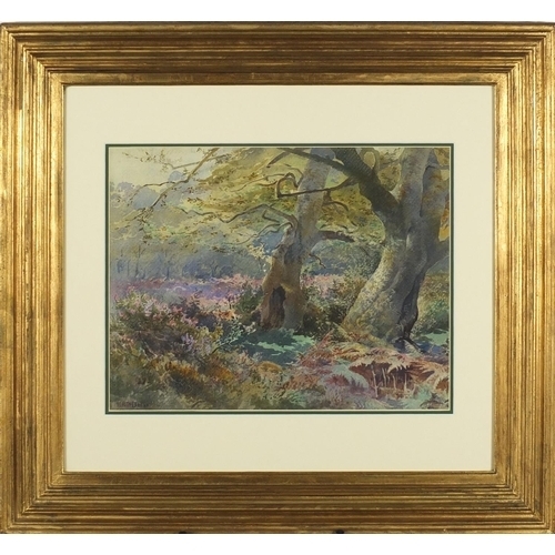 Artwork by Henry Richard Beadon Donne, A study in the New Forest, Made of watercolour