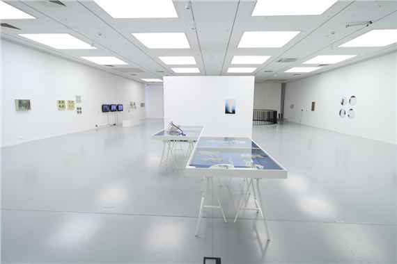 Who is Janina Węgrzynowska? - Galeria Miejska BWA W Bydgoszczy