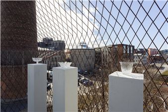 Goodbye, East! Goodbye, Narcissus!