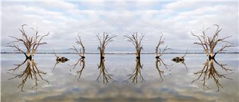 Naadohbii: To draw water - Pataka Art + Museum